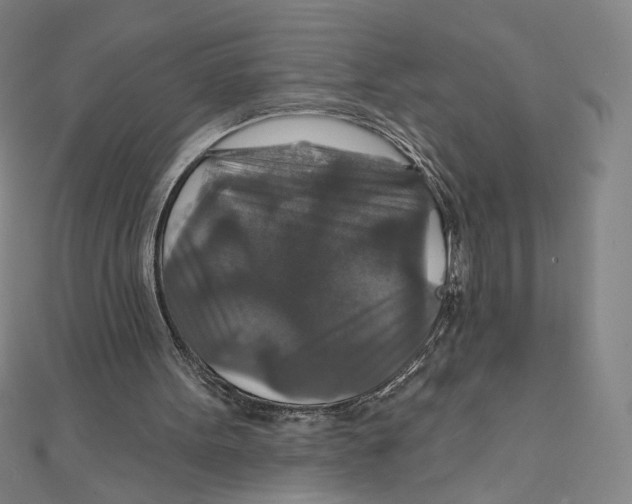 X0000112020099200908311203