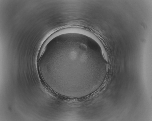 X0000112020100200908311203