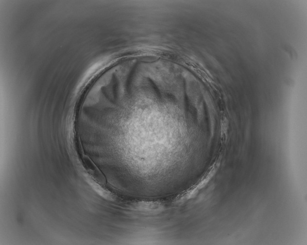 X0000112020101200908311203