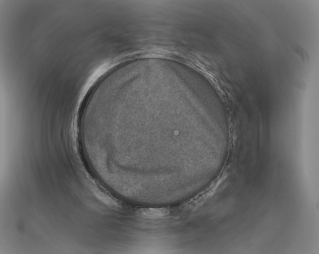 X0000112020102200908311203