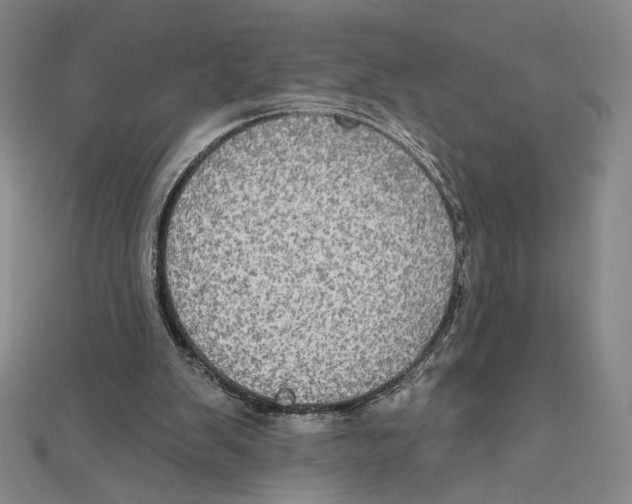 X0000112020103200908311203