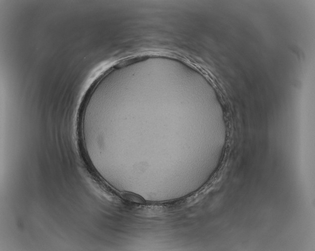 X0000112020104200908311203