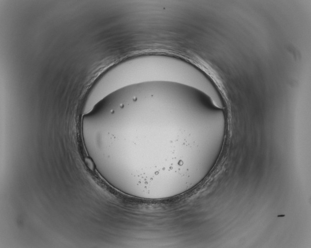 X0000112020105200908311203