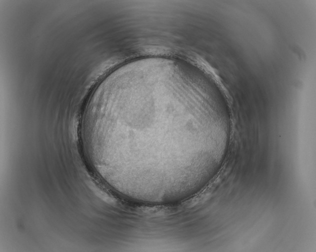 X0000112020106200908311203