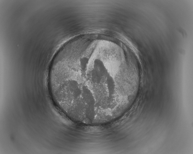 X0000112020107200908311203