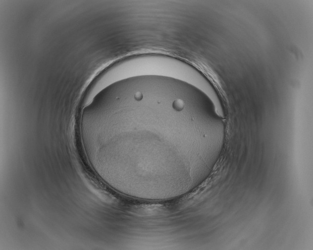 X0000112020108200908311203