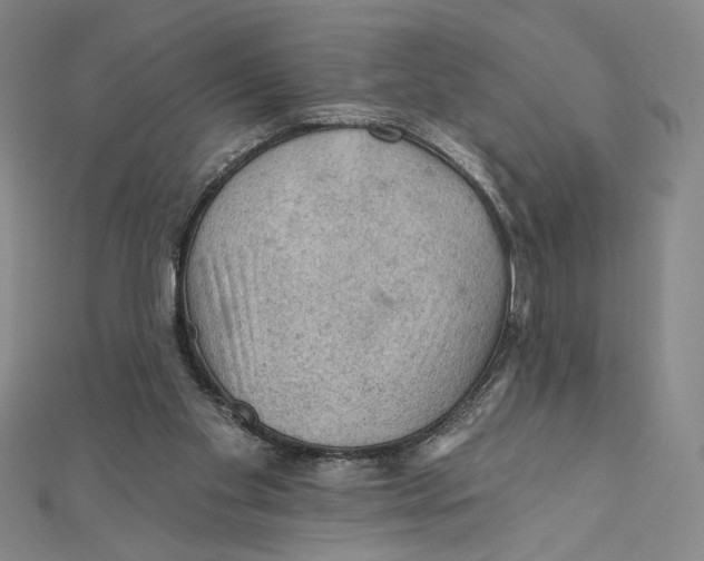 X0000112020109200908311203