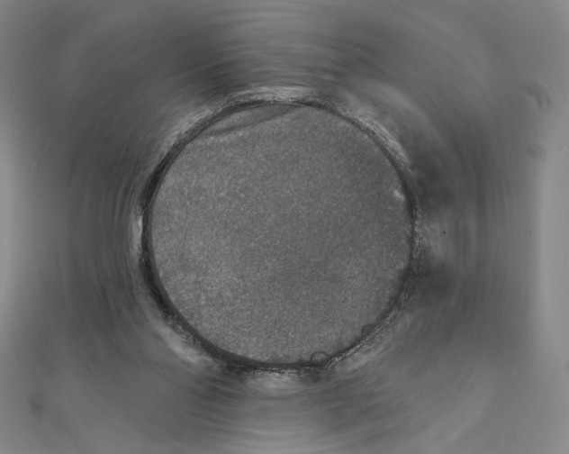 X0000112020110200908311203