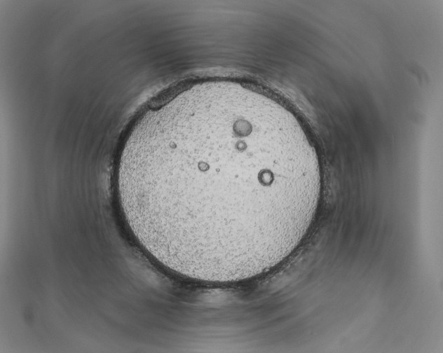 X0000112020111200908311203