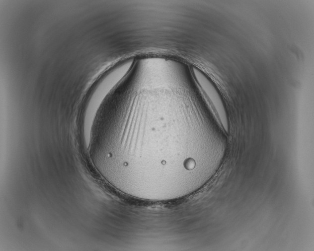 X0000112020112200908311203