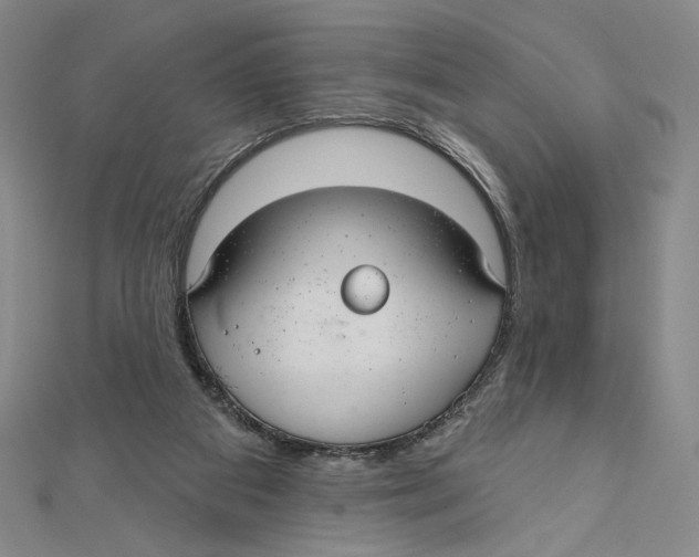 X0000112020113200908311203