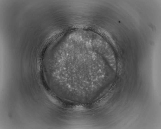 X0000112020114200908311203