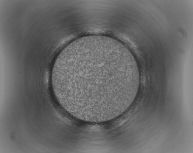 X0000112020115200908311203