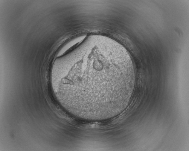 X0000112020116200908311203