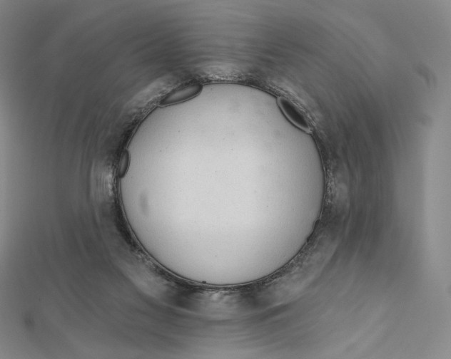 X0000112020117200908311203