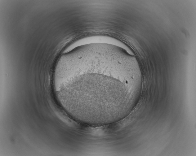 X0000112020120200908311203