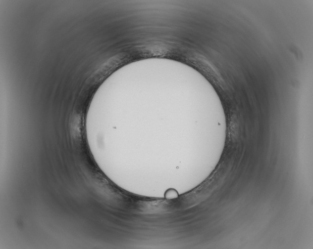 X0000112020122200908311203