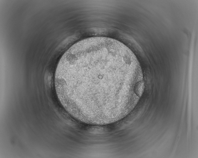 X0000112020123200908311203