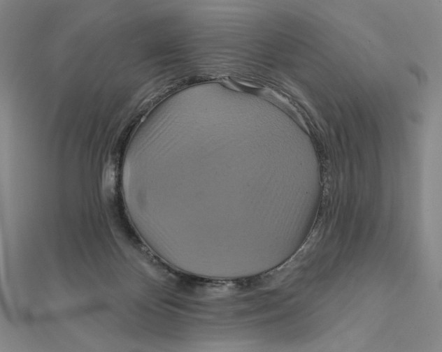 X0000112020124200908311203