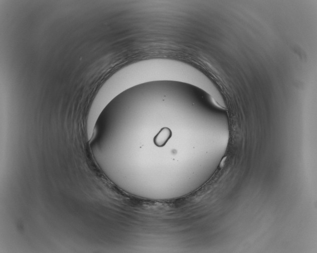 X0000112020125200908311203