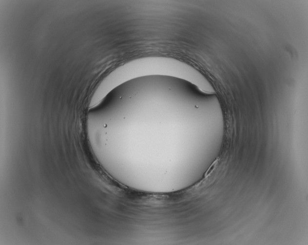 X0000112020128200908311203