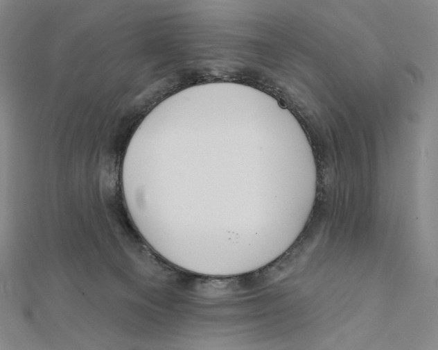 X0000112020129200908311203