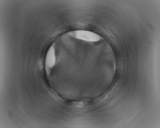 X0000112020131200908311203