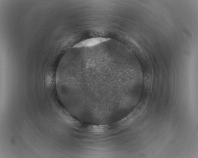 X0000112020134200908311203