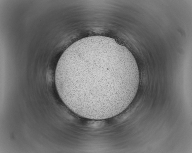 X0000112020135200908311203