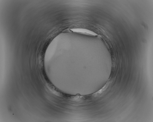 X0000112020136200908311202