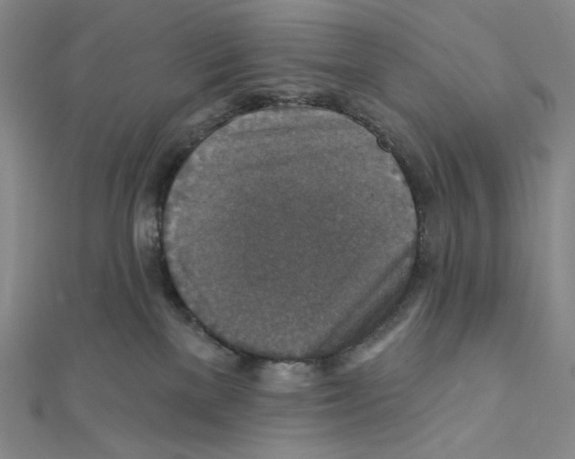 X0000112020137200908311202