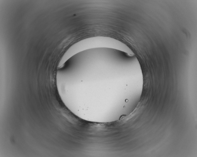 X0000112020140200908311202