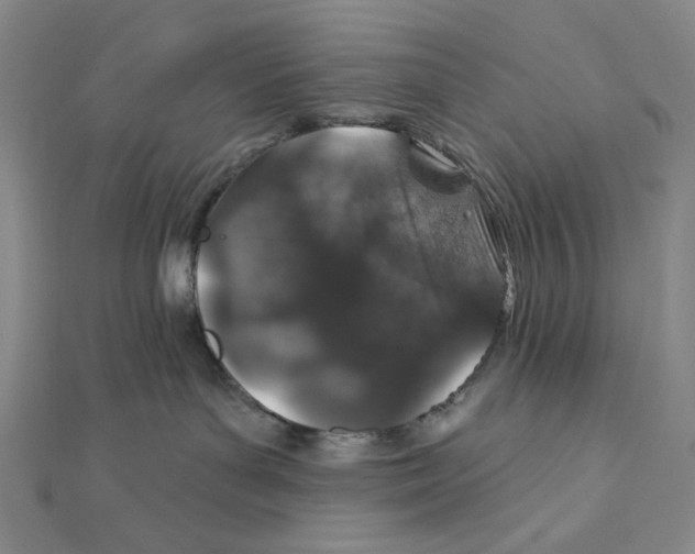 X0000112020143200908311202