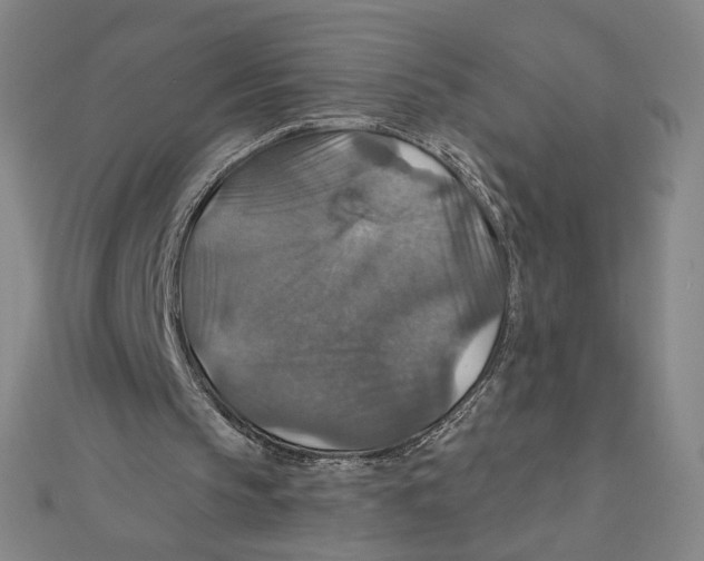 X0000112020145200908311202