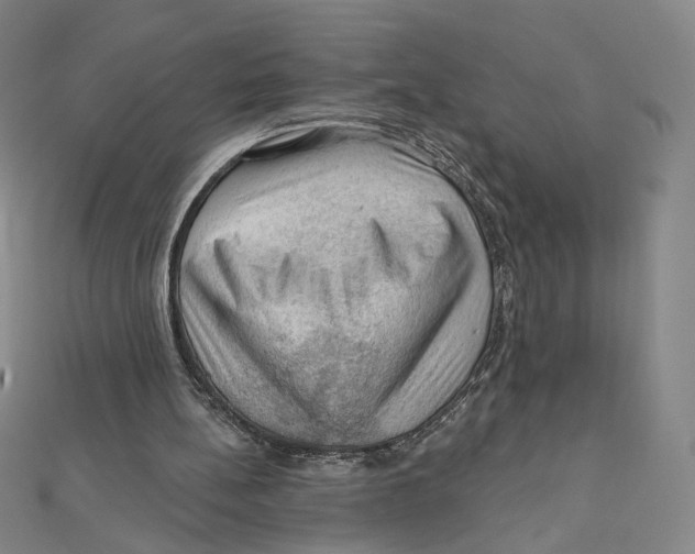 X0000112020148200908311202