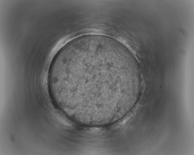 X0000112020151200908311202