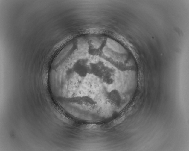 X0000112020153200908311202