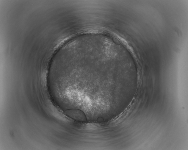 X0000112020154200908311202