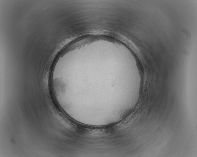 X0000112020155200908311202