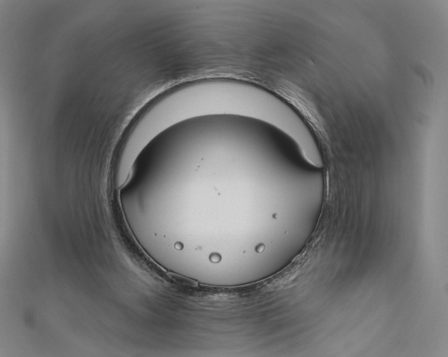 X0000112020156200908311202