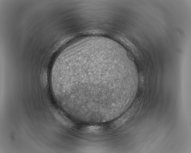 X0000112020158200908311202