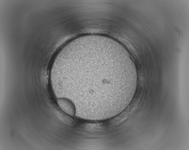 X0000112020160200908311202