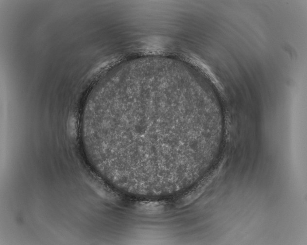 X0000112020161200908311202