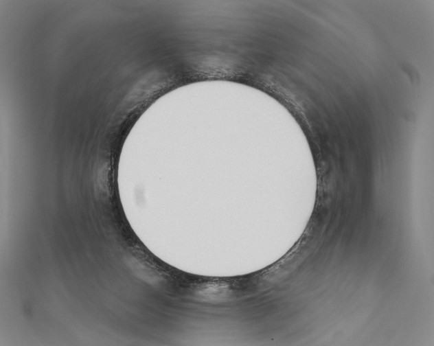 X0000112020162200908311202