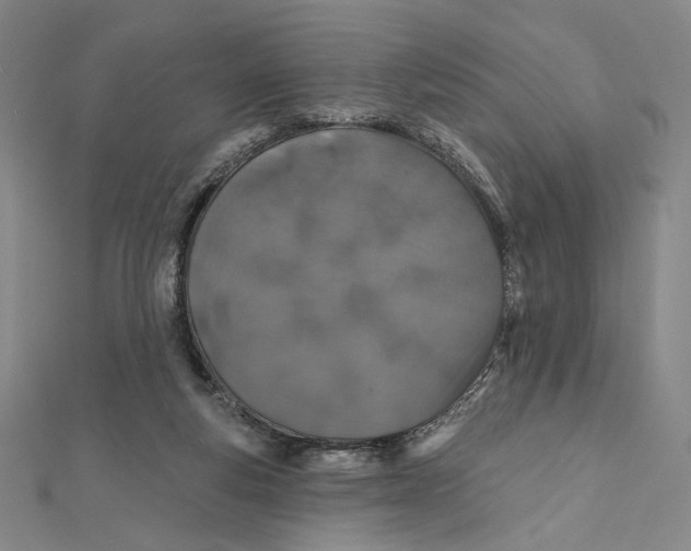 X0000112020163200908311202