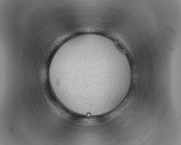 X0000112020164200908311202