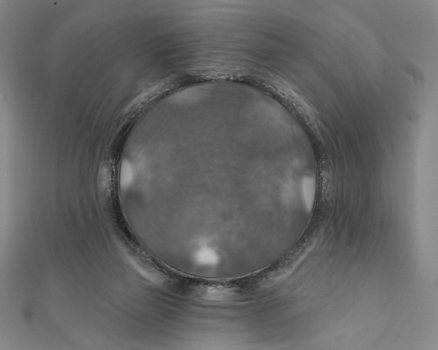 X0000112020165200908311202