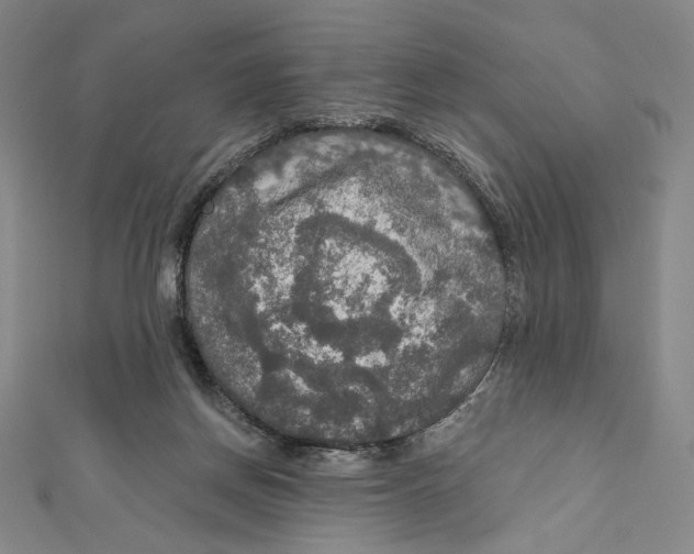 X0000112020166200908311202