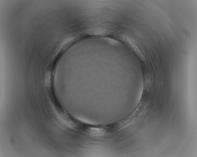 X0000112020167200908311202