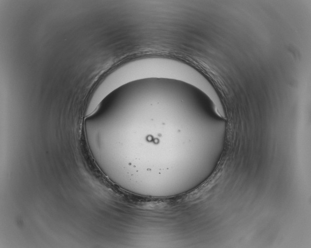 X0000112020168200908311202